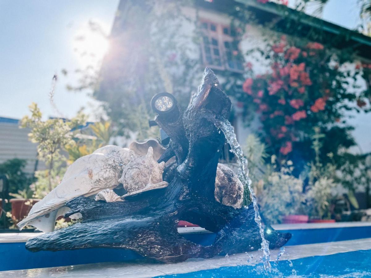 Cool Breeze Authentic Hotel Labuan Bajo Komodo ภายนอก รูปภาพ